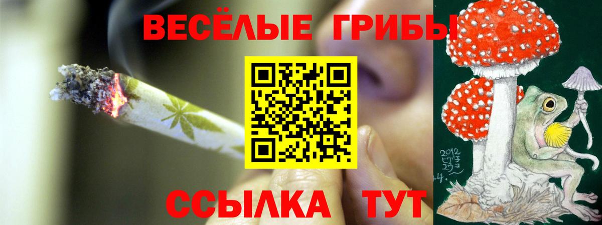 Шарыпово  Псилоцибиновые грибы Cubensis  закладки  Вход с VPN 
